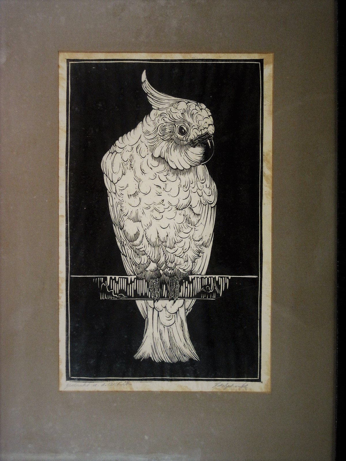 Jan Schonk - Mooie karakteristieke Jan Schonk zelfgedrukte 1920 Linosnede "Kaketoe"  verkocht voor € 55!