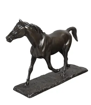 Irénée Rochard - Paard in draf kopen? Bied vanaf 1750!