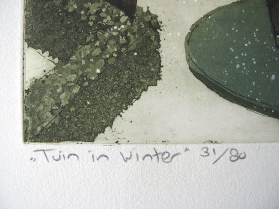 Laetitia de Haas - TUIN IN WINTER kopen? Bied vanaf 15!