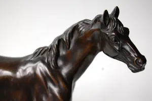 Irénée Rochard - Paard in draf kopen? Bied vanaf 1750!