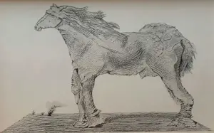 Max Ernst - Map met 34 werken: Histoire Naturelle - 1972 kopen? Bied vanaf 499!