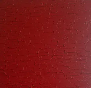Bruno CANTAIS - Red Power kopen? Bied vanaf 370!