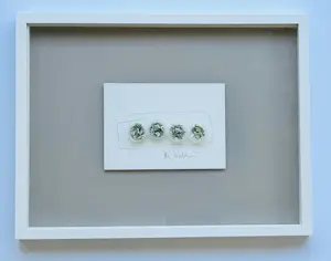 Jan Henderikse - Shredded dollar bills in tubes ( met lijst) kopen? Bied vanaf 325!
