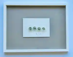 Jan Henderikse - Shredded dollar bills in tubes ( met lijst) kopen? Bied vanaf 325!