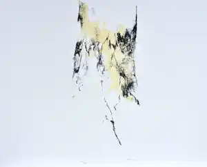Armando - Der Baum - Lithografie - Gesigneerd - 50x65 cm - 1988 kopen? Bied vanaf 135!