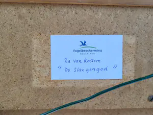 Ru van Rossem - De Slangengod. kopen? Bied vanaf 65!