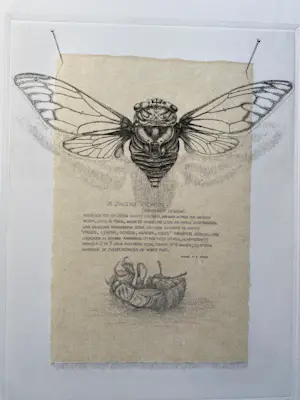 Gerard van Rooy - De zingende cicaden – Ets, 1978 – 6/100 – Handgesigneerd kopen? Bied vanaf 40!