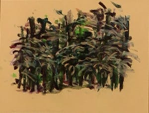 Paulien Wittenrood - Tekening, Duno V- Ingelijst kopen? Bied vanaf 1!