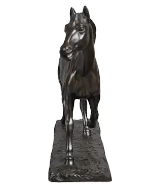 Irénée Rochard - Paard in draf kopen? Bied vanaf 1750!