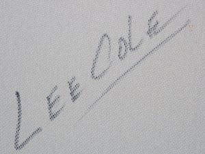 Lee Cole - zonder titel kopen? Bied vanaf 60!