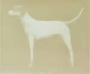 Joe Andoe - Ingelijste zeefdruk: Small Dog (Putty) - 1998 kopen? Bied vanaf 295!
