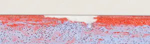 Joe Wols - Acryl op karton, Zonder titel - Ingelijst kopen? Bied vanaf 1!