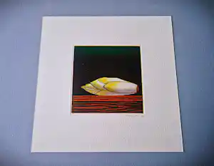 Joop Vegter - Mooie kleine mezzotint "witlof" - beperkte oplage - potloodgesigneerd verkocht voor € 75!
