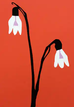 Wouter van Riessen - zeefdruk ‘Sneeuwklokjes’ - 2007 verkocht voor € 70!