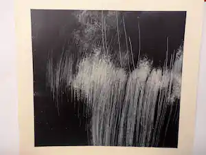 Peter Sjoblom - Lithografie verkocht voor € 60!