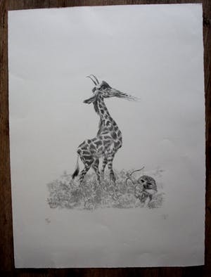 Peter Vos - litho: De ontdekking van de giraffe - 1969 kopen? Bied vanaf 150!