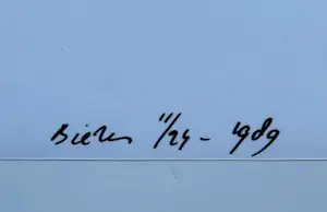 Hans Biezen - zonder titel kopen? Bied vanaf 75!
