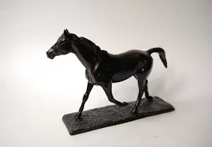 Irénée Rochard - Paard in draf kopen? Bied vanaf 1750!