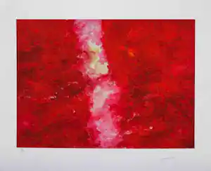 Armando - Kleurengiclee DAMALS Handgesigneerd kopen? Bied vanaf 169!