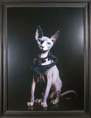 Jenny Boot - C-Print op dibond, Tasja- Ingelijst (Monumentaal formaat!) verkocht voor € 800!