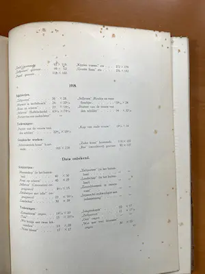 Jan Mankes - door A. Mankes-Zernike en R.N. Roland Holst kopen? Bied vanaf 1!