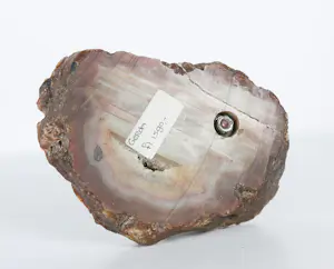 Clemens Pasch - Brons, Zittende vrouw op natuurstenen voet (Gerda) + boek! kopen? Bied vanaf 100!