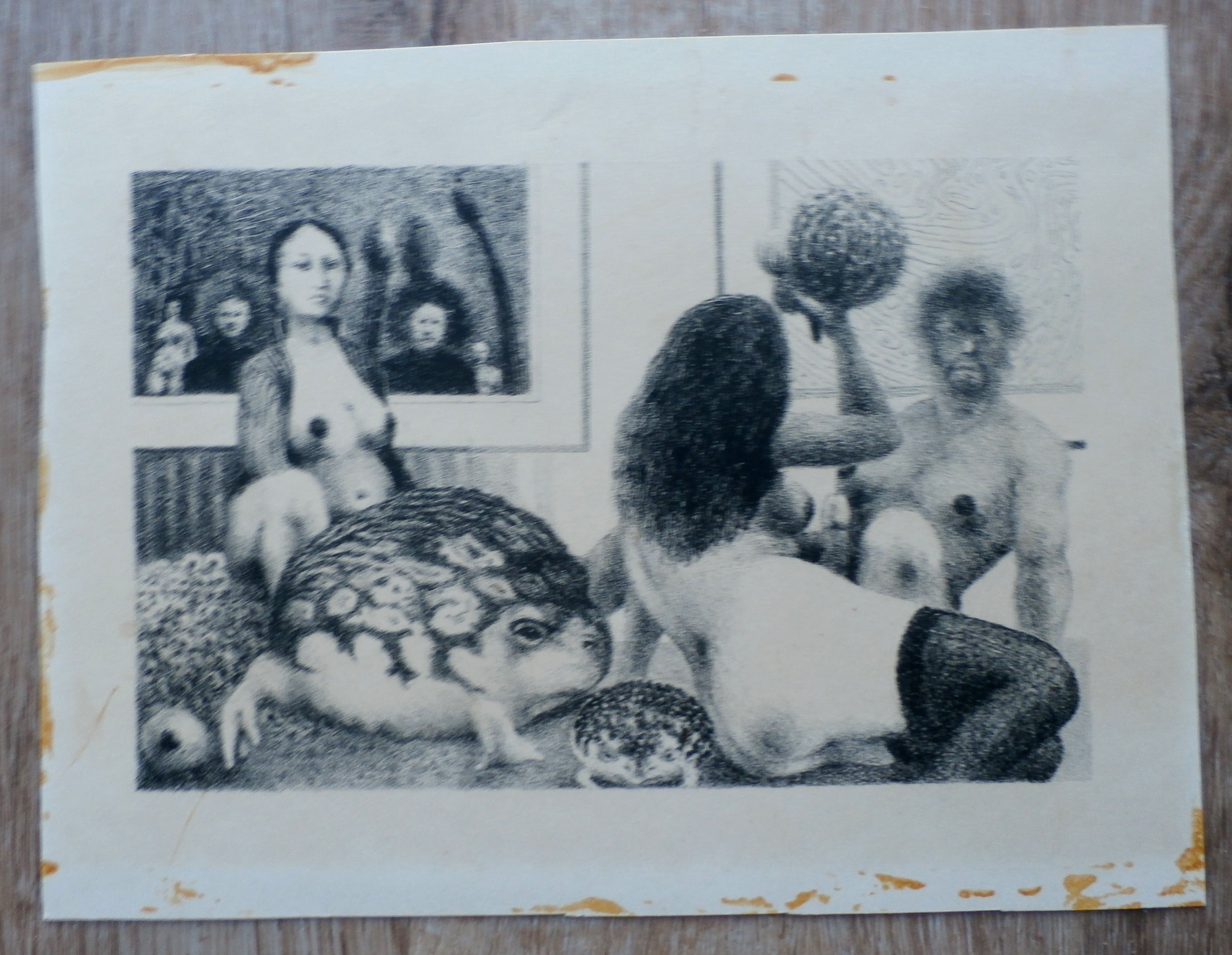 Wout Muller - Litho kopen? Bied vanaf 50!