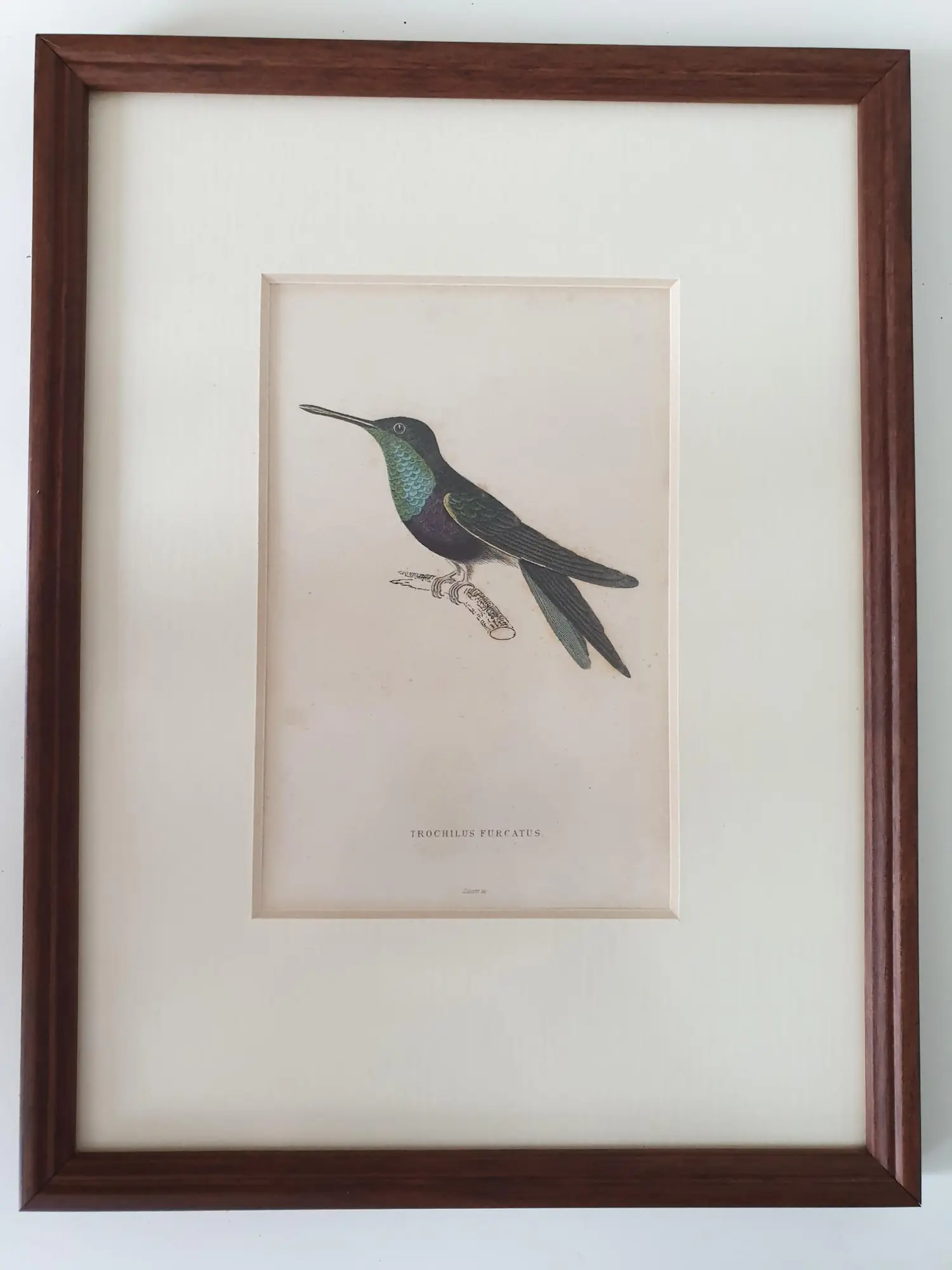 William Home Lizars (1788-1859)