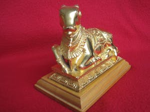 Brons (Onbekend) - Nandi heilige stier kopen? Bied vanaf 40!