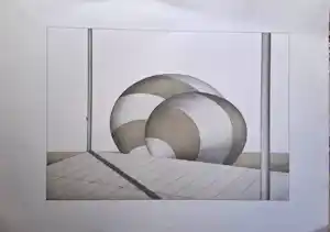 Marinus Fuit - Ballonnen tegen plankier kopen? Bied vanaf 55!
