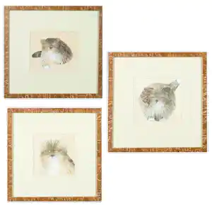 Mohaier Dariush - Drie litho's, Katten verkocht voor € 41!