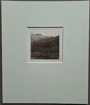 Adolfo Ramon Torcal - gesigneerde ets kopen? Bied vanaf 49!
