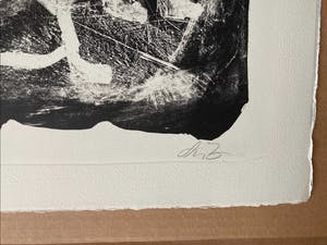 Werner Liebmann - Das Ziel, große Lithographie, signiert, datiert, numm. kopen? Bied vanaf 70!
