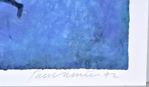 Jan Vanriet - Zeefdruk, Gesigneerd, 47x58 cm, 1992 kopen? Bied vanaf 90!