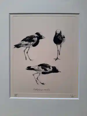 Peter Vos - Hoplopterus Armatus verkocht voor € 390!