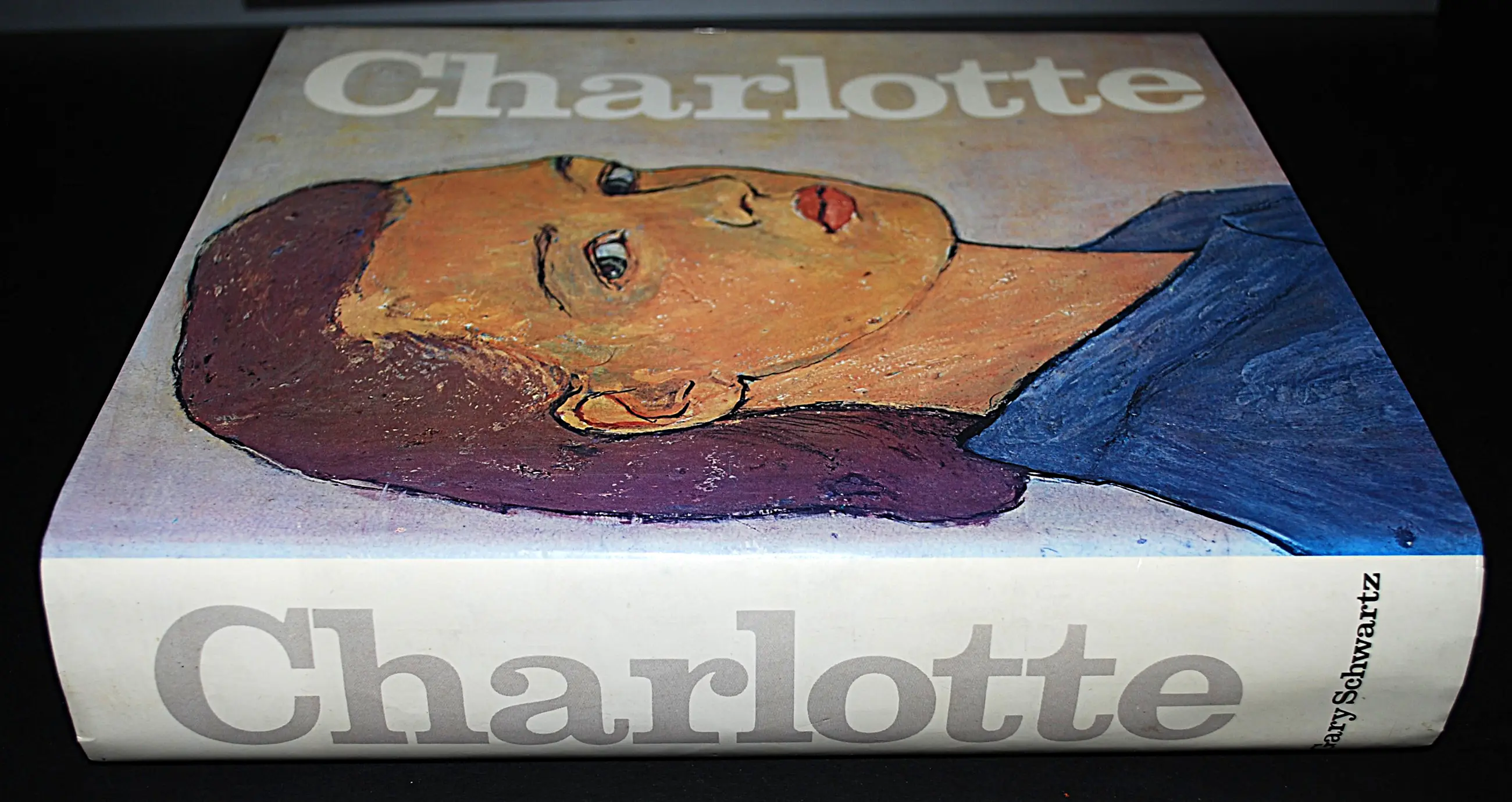 シャルロッテCharlotte Salomon画集 シャルロッテCharlotte Salomon画集 本