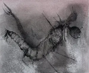 Dirkje Kuik - aquarel/tekening Aram en de bende van de boomstam" + boek waarin tekening staat kopen? Bied vanaf 159!