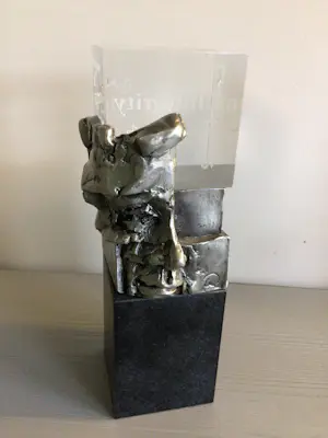 Ad Haring - Sculptuur / Afstudeer plaat Erasmus Universiteit .. kopen? Bied vanaf 90!