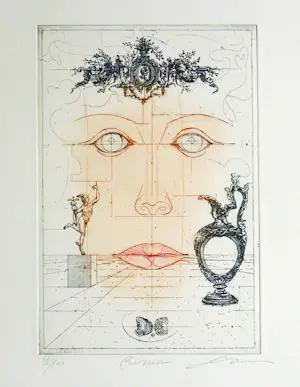 Dan Erceanu - rococo. kopen? Bied vanaf 39!