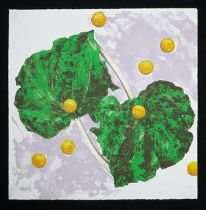 Herman Schlooz - Litho, In My Backyard 1 kopen? Bied vanaf 1!