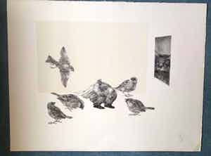 Peter Vos - Vreemde vogels met kat op de loer. verkocht voor € 55!