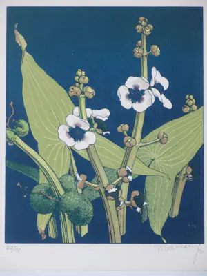 Jan Voerman (jr.) - Bloeiende plant - Kleurenlitho kopen? Bied vanaf 75!