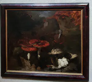 Theo Goedvriend - Paddenstoelen kopen? Bied vanaf 270!