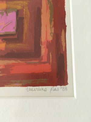 Theodora Plas - Handgesigneerde zeefdruk ‘Perspectief’ , ingelijst kopen? Bied vanaf 35!