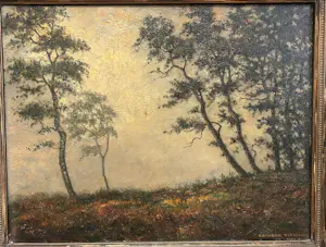 Reinder Jan Visscher - Bos en Heide (Veluwe) kopen? Bied vanaf 85!