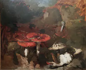 Theo Goedvriend - Paddenstoelen kopen? Bied vanaf 270!
