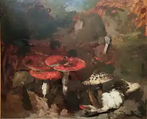 Theo Goedvriend - Paddenstoelen kopen? Bied vanaf 270!
