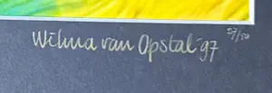 Wilma van Opstal - Wilma van Opstal – Fluoriet – 1997 – microfotografie van gesteente – 27/50 kopen? Bied vanaf 325!