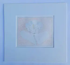 Co Westerik - Kleurenlitho: "Bloemornament" - 1987 kopen? Bied vanaf 150!