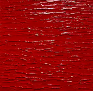 Bruno CANTAIS - Red Power kopen? Bied vanaf 370!